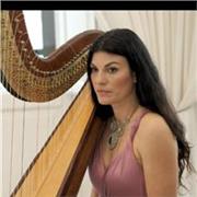 Arpa, teoria e solfeggio, storia della musica